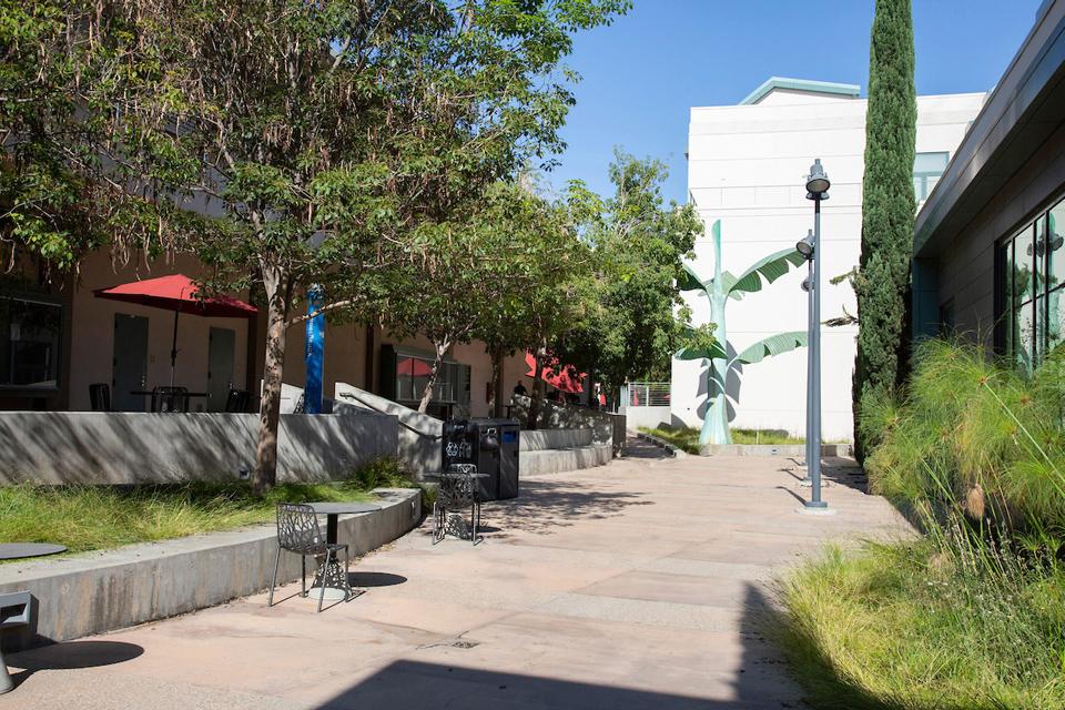 Center for the Arts North Patio