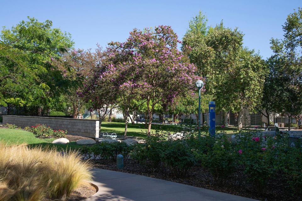 Center for the Arts West Patio