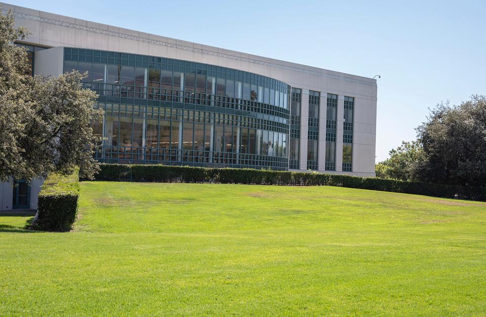 Library Lawn